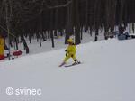 Lyžařský areál na Svinci u Nového Jičína