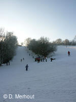 Svinec 15.1.2006, Nový Jičín