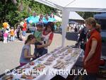 Sousedské slavnosti 2009 - stánek firmy Pavel Janoš, pardubický perník