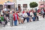 10. 9. pátek koncert žáků ZUŠ Příbor