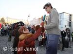 Masopust 2011