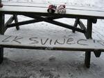 Ceník služeb areálu LK SVINEC Nový Jičín